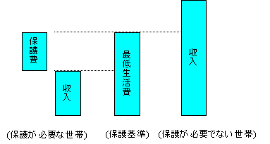 保護の決定