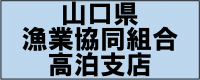  山口県漁業協同組合高泊支店