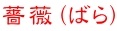 薔薇