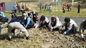 縄地ヶ鼻公園「水仙まつり」