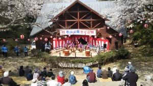 若山公園さくら祭り