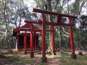 神社の写真の画像です