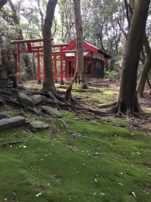 別角度から撮った神社の写真の画像です
