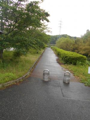 遊歩道の写真です