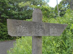 遊歩道の看板の写真です