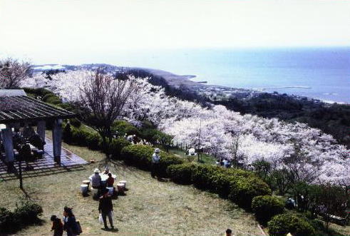 竜王山公園写真