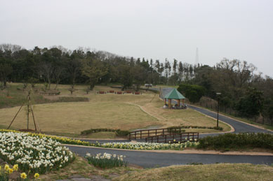 縄地ヶ鼻公園写真