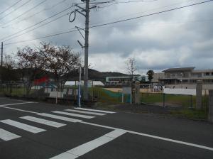 厚陽小学校、中学校の写真です