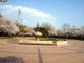 須恵健康公園写真