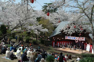 若山公園写真