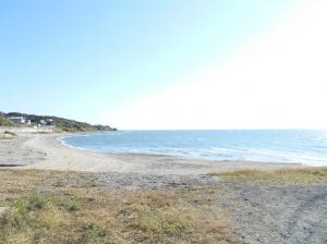 海岸沿いの写真です