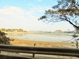 有帆川沿い風景