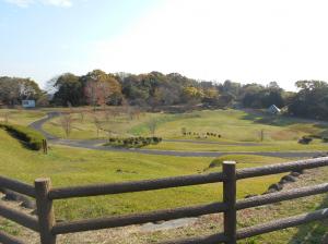 縄時ヶ鼻公園駐車場から見える芝生広場