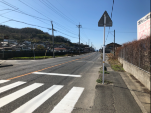 横断歩道を渡る写真です