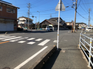 横断歩道を渡る写真です