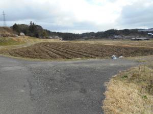 農道の写真です。分かれ道で、前方と右手には田畑が広がっています。
