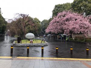 上野公園