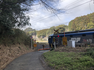 踏切の写真です。貨物電車が通っています。