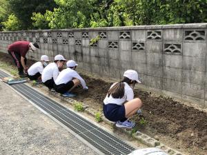 小野田小学校　植え付け写真