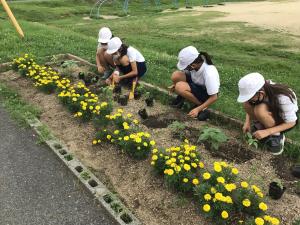 高千帆小学校　植え付け写真