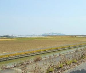 田園の風景