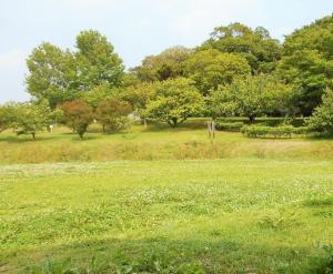 縄地ヶ鼻公園内の写真