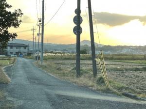 田園風景