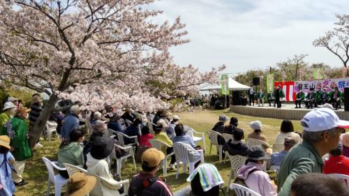 竜王山公園さくら祭り