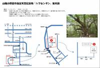 ハマセンダン案内図