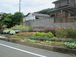 野村　節