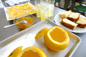 夏みかん4