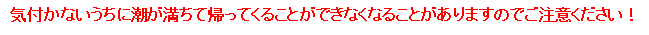 気付かないうちに潮が満ちて帰ってくることができなくなることがありますのでご注意ください！