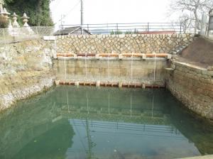 hamagochokarahi