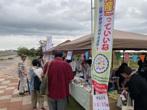 開催状況２