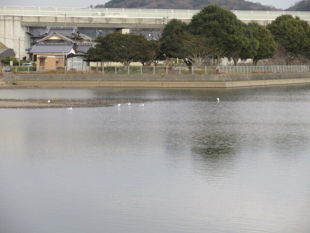 ば
