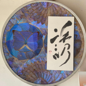 suisai