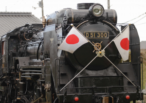 D51300