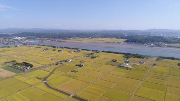 厚狭川河口