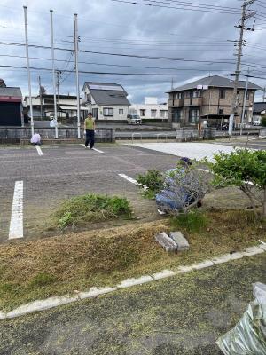 草2