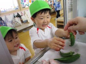 収穫したピーマンを手に取る園児の様子