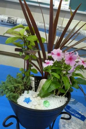寄せ植え3