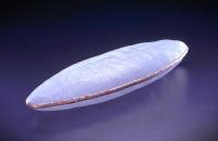 第2回大賞「古の気配Ⅳ」吉田薫