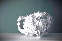 W1440Q75_第7回大賞「Fascination　with Magnification Ⅱ」勝川夏樹