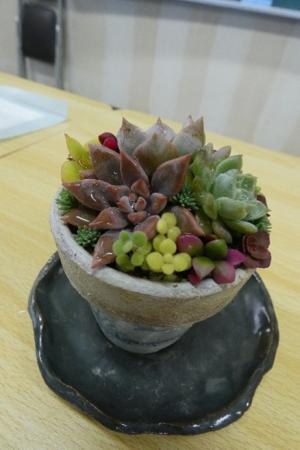 寄せ植え