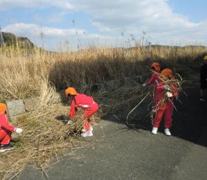 ゴミ拾いをする園児の様子