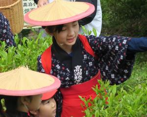 tyatumi