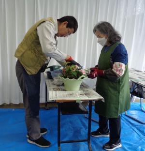寄せ植え3