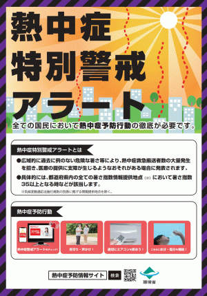 ちらし