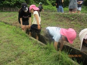 田植え後に足を洗う園児の様子