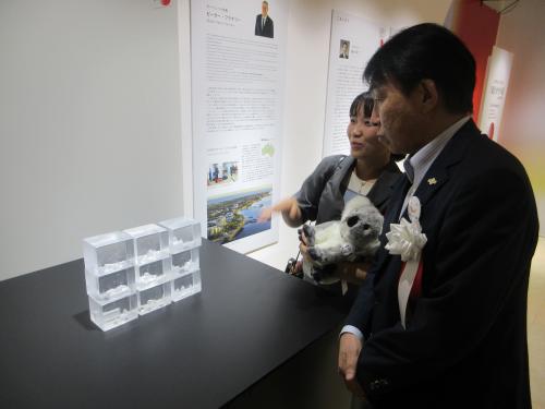 モートンベイ市長賞